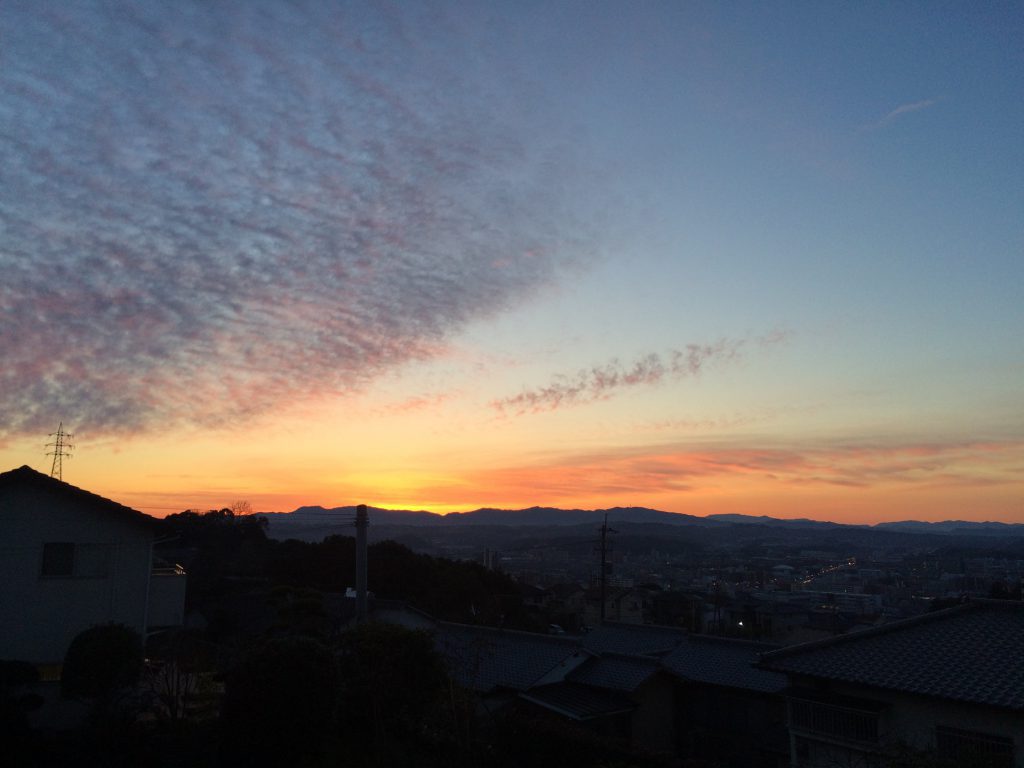 IMG_2705-2-1024x768 びゅーてぃふる！
